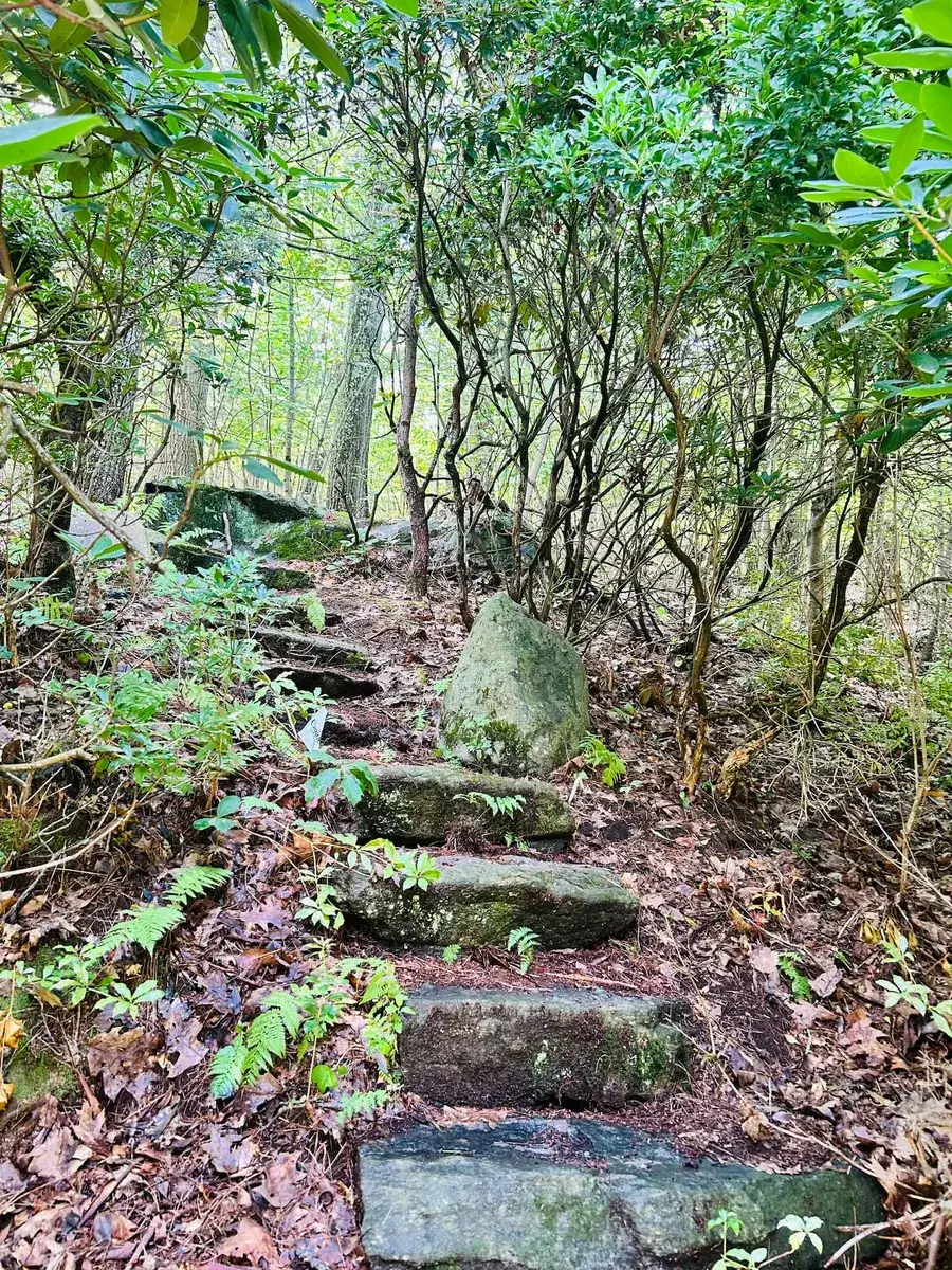 Stone steps climbing through the woods behind the Southborough retreat