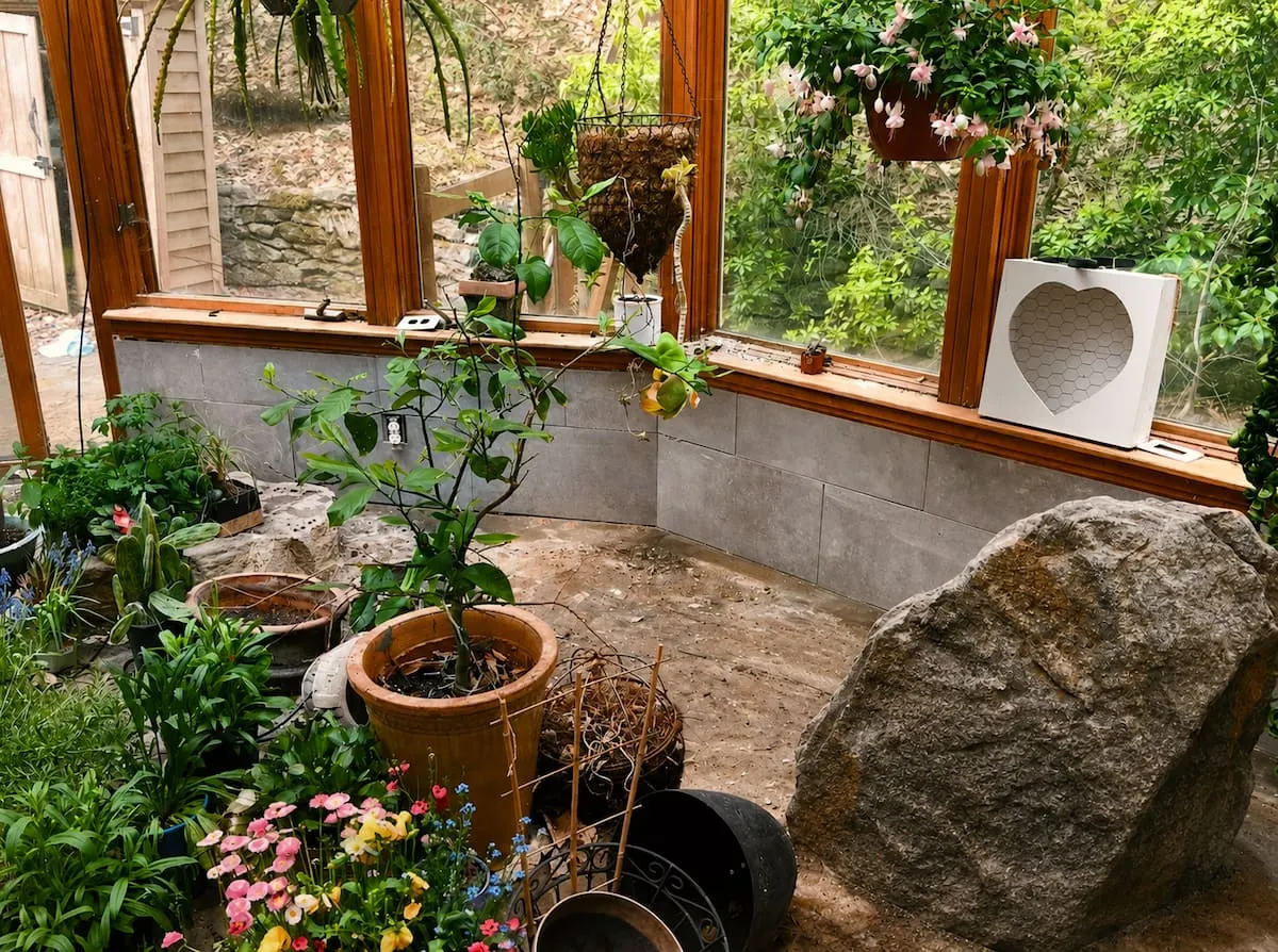 Glass plant conservatory in Southborough with boulders and hanging plants