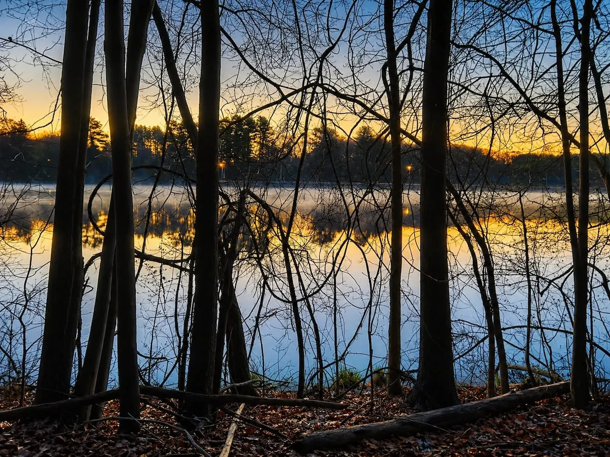 Sunset over a reservoir in Southborough, seen through the trees